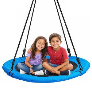 Blue Round Swings